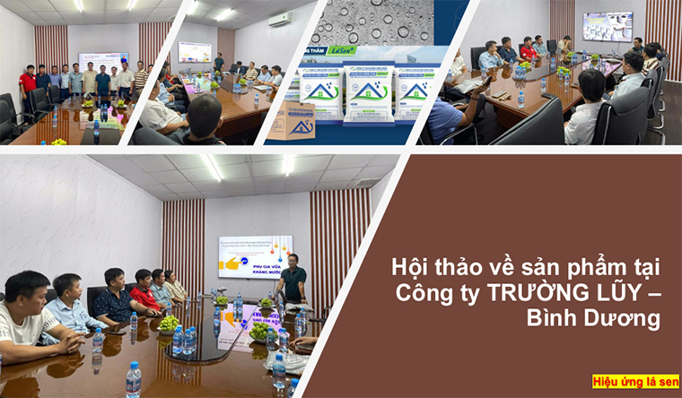 Hội thảo về sản phẩm tại công ty Trường Luỹ